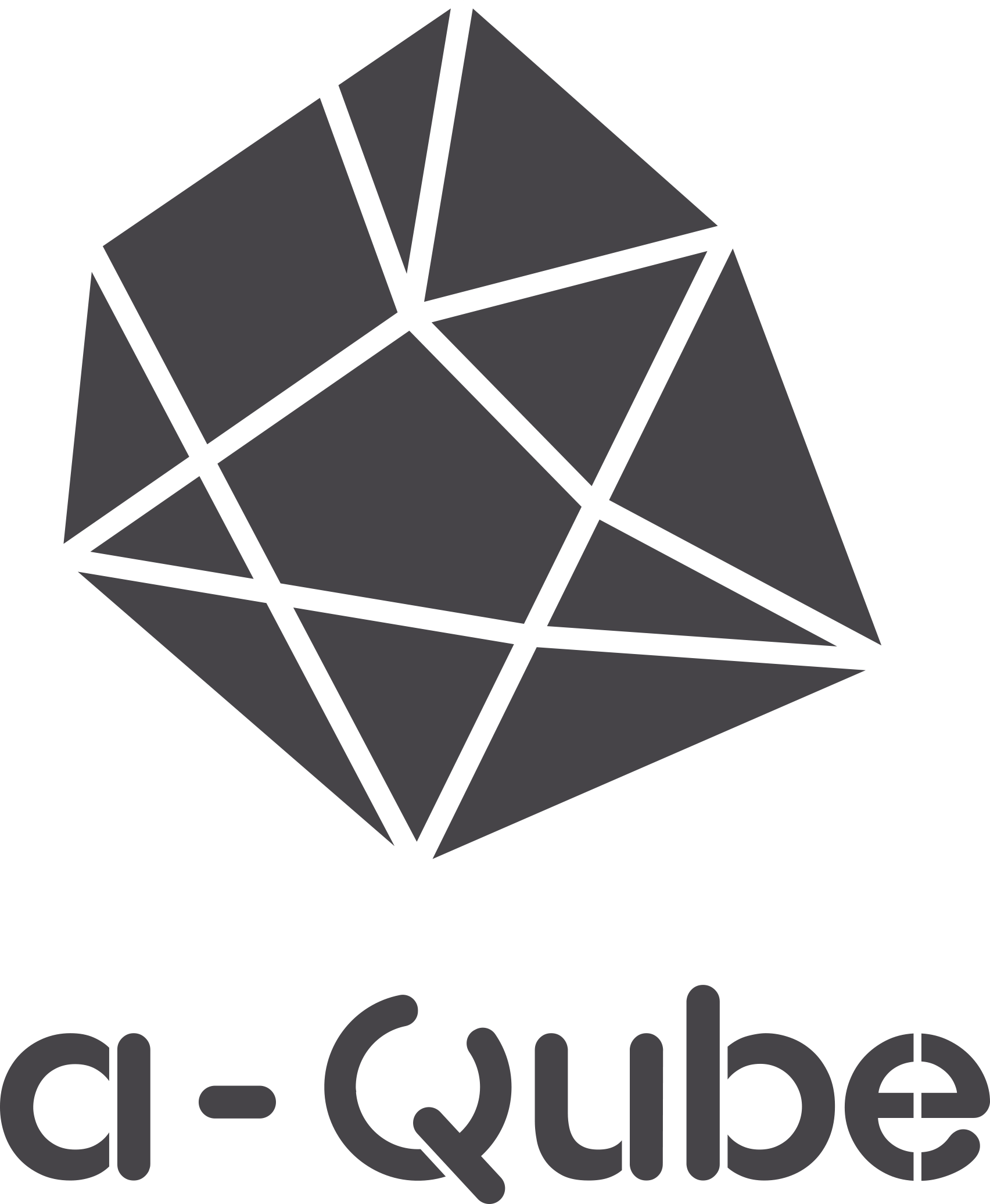 Sr. Software Developer Job At A-qube